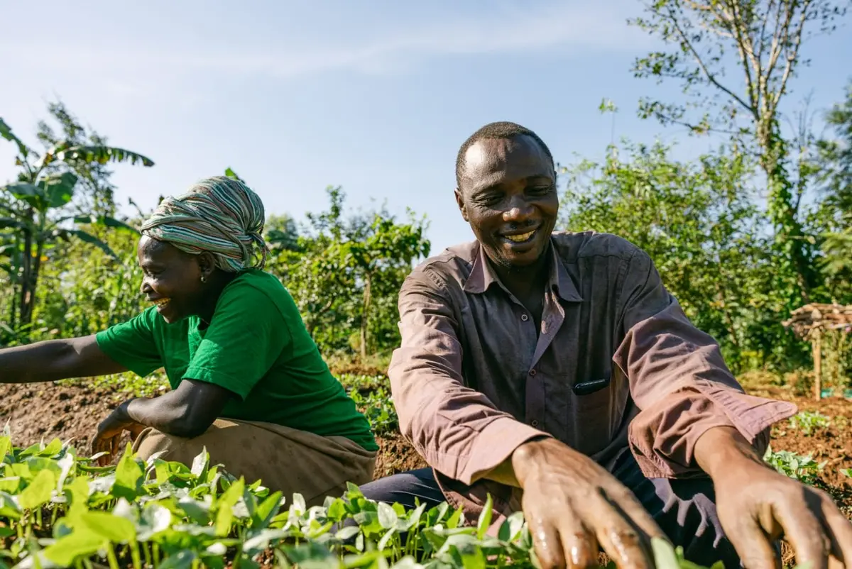 Two farmers tending seedlings in a forest garden