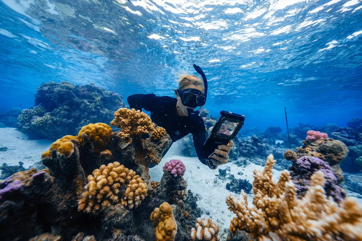 A Coral Gardeners diver photographing corals on the reef